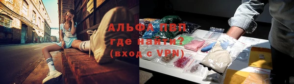 круглые Вязьма