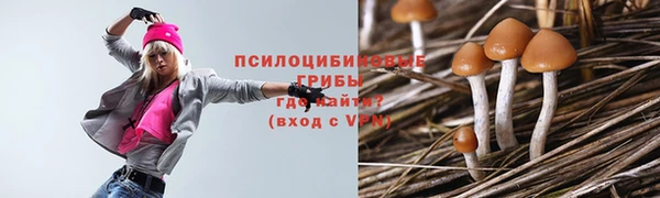 соль курить ск Вяземский