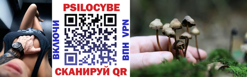 Купить где  Киржач  Галлюциногенные грибы Psilocybe 