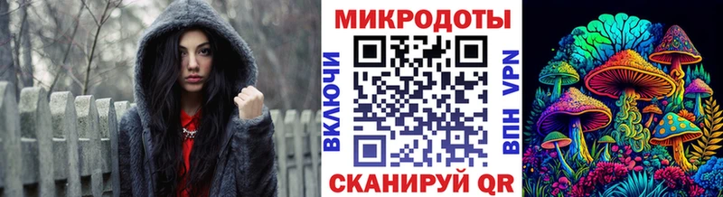 Псилоцибиновые грибы Cubensis Киржач